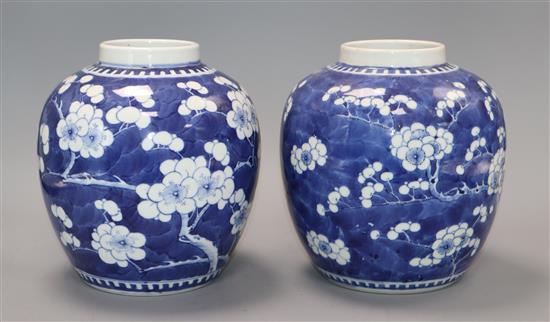 A pair of 19th century Chinese blue and white prunus jars, Kangxi marks height 19cm